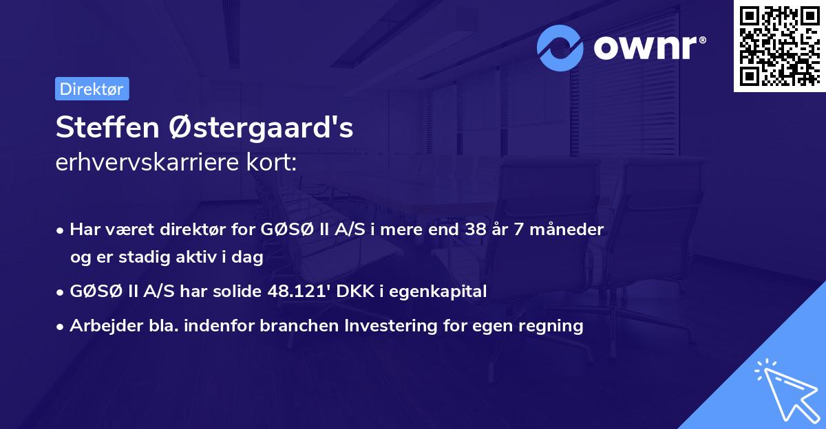 Steffen Østergaard's erhvervskarriere kort