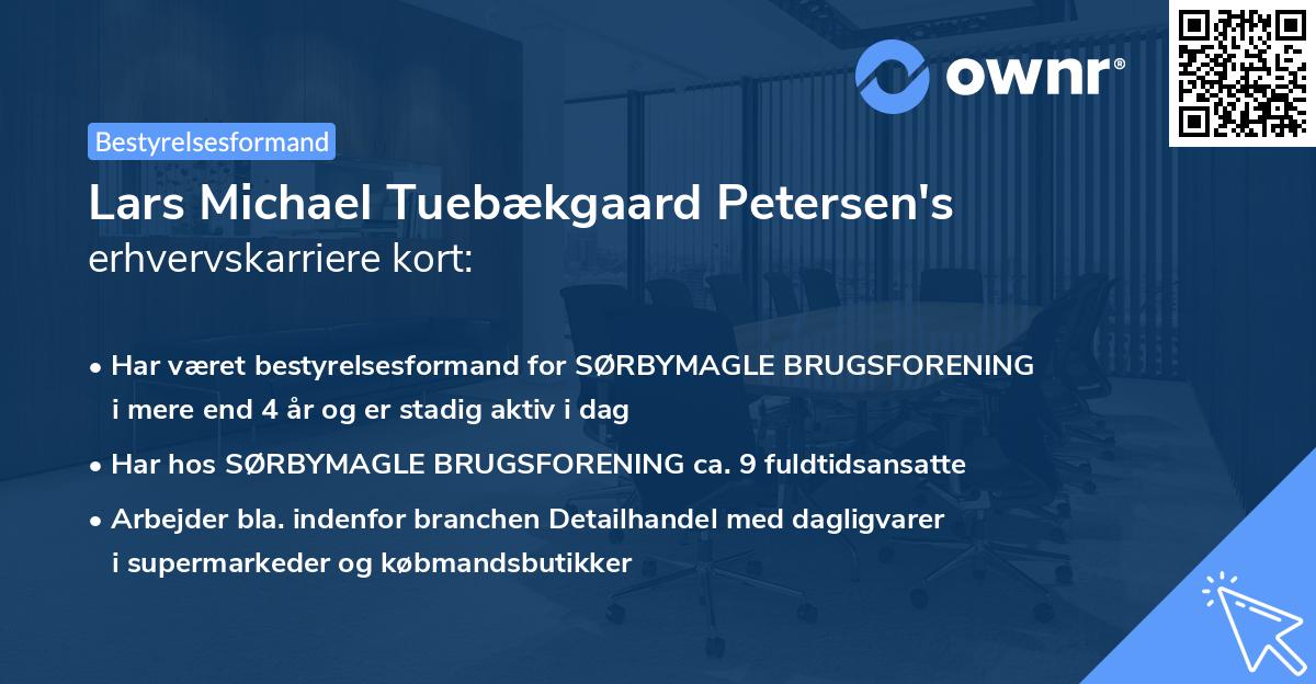 Lars Michael Tuebækgaard Petersen's erhvervskarriere kort