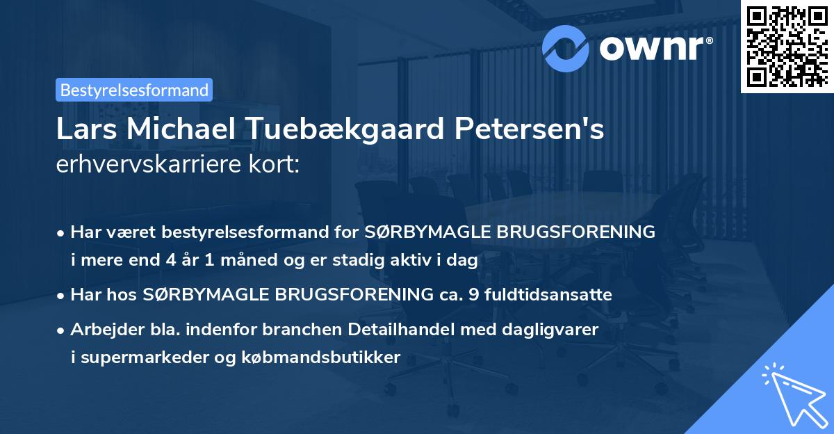 Lars Michael Tuebækgaard Petersen's erhvervskarriere kort