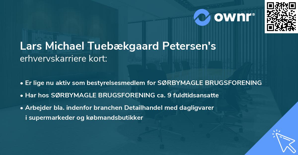 Lars Michael Tuebækgaard Petersen's erhvervskarriere kort