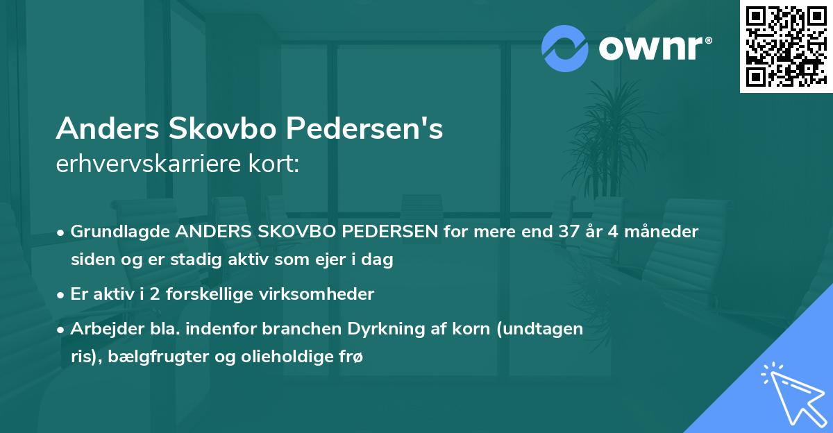 Anders Skovbo Pedersen's erhvervskarriere kort