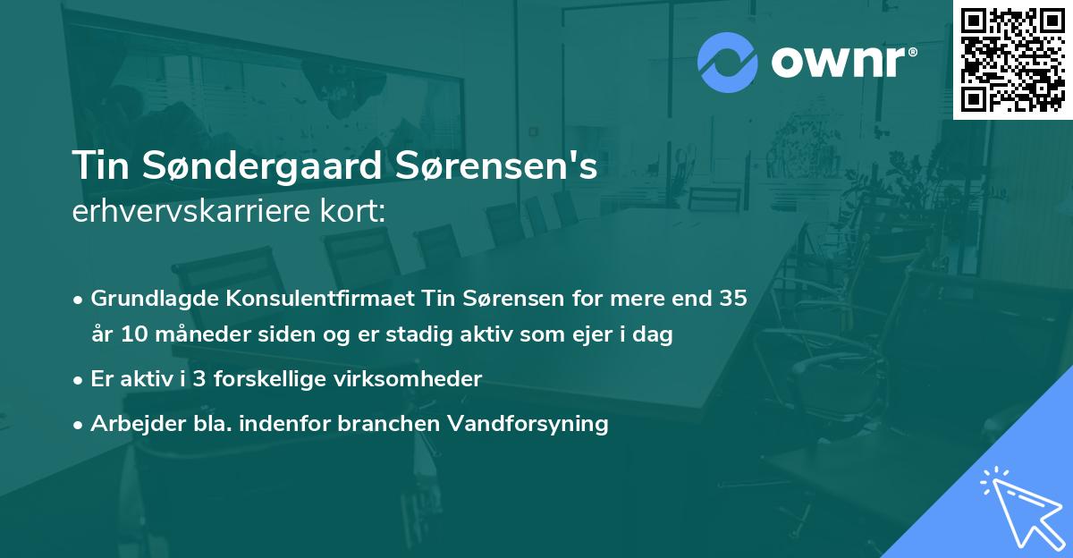 Tin Søndergaard Sørensen's erhvervskarriere kort