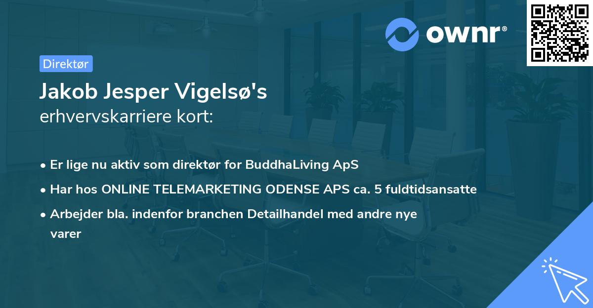 Jakob Jesper Vigelsø's erhvervskarriere kort