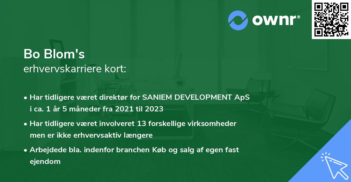 Bo Blom's erhvervskarriere kort