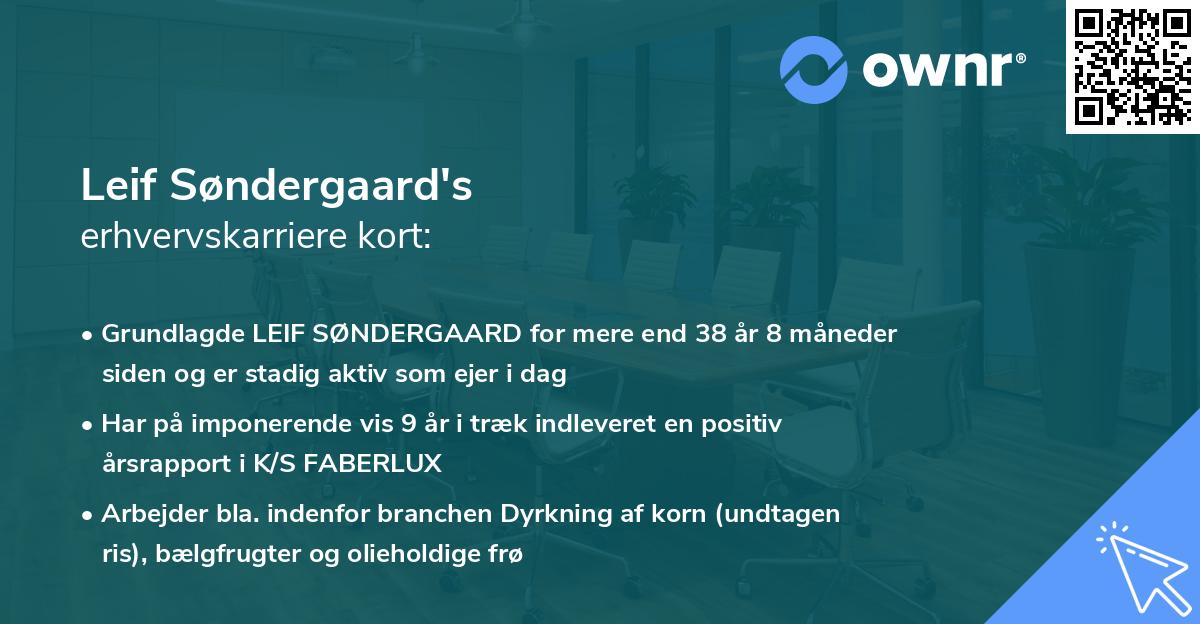 Leif Søndergaard's erhvervskarriere kort