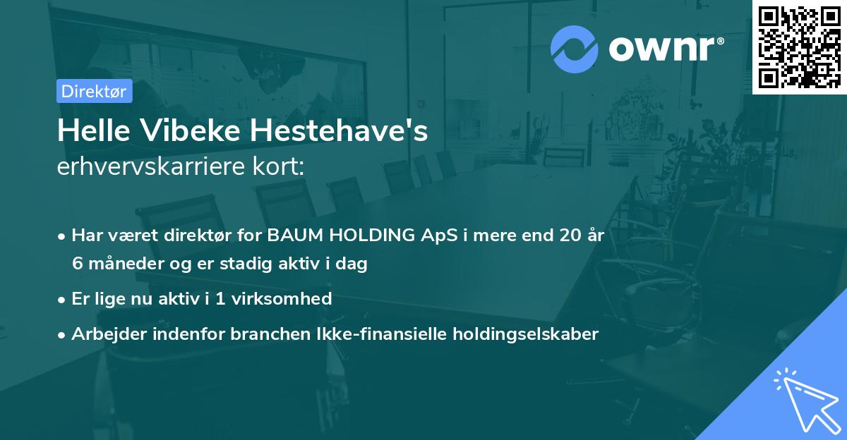 Helle Vibeke Hestehave's erhvervskarriere kort
