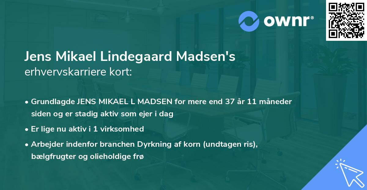 Jens Mikael Lindegaard Madsen's erhvervskarriere kort