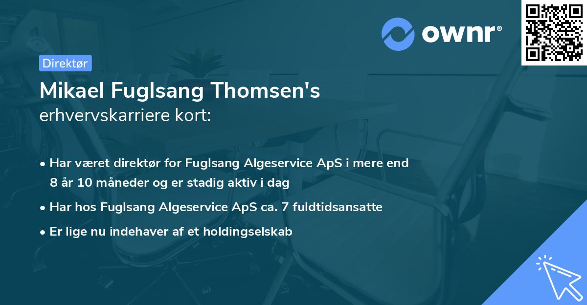 Mikael Fuglsang Thomsen's erhvervskarriere kort