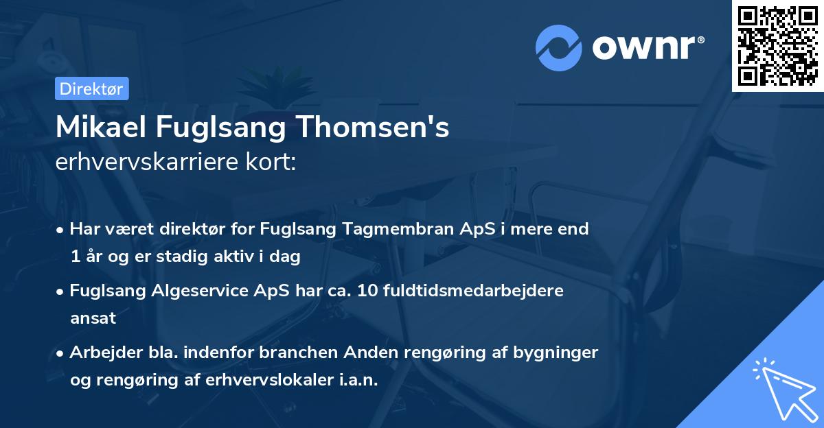 Mikael Fuglsang Thomsen's erhvervskarriere kort