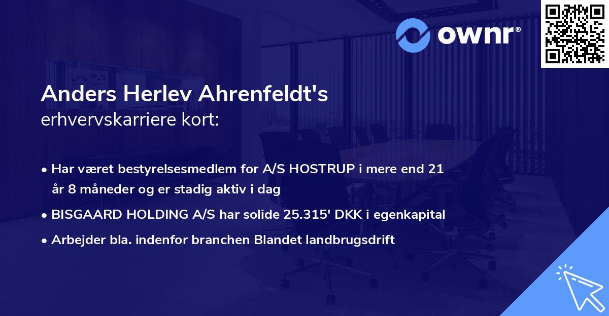 Anders Herlev Ahrenfeldt's erhvervskarriere kort