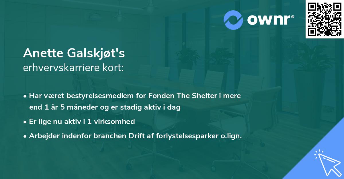 Anette Galskjøt's erhvervskarriere kort