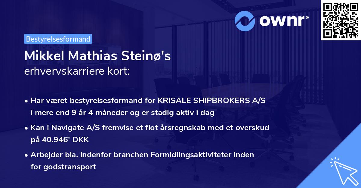 Mikkel Mathias Steinø's erhvervskarriere kort