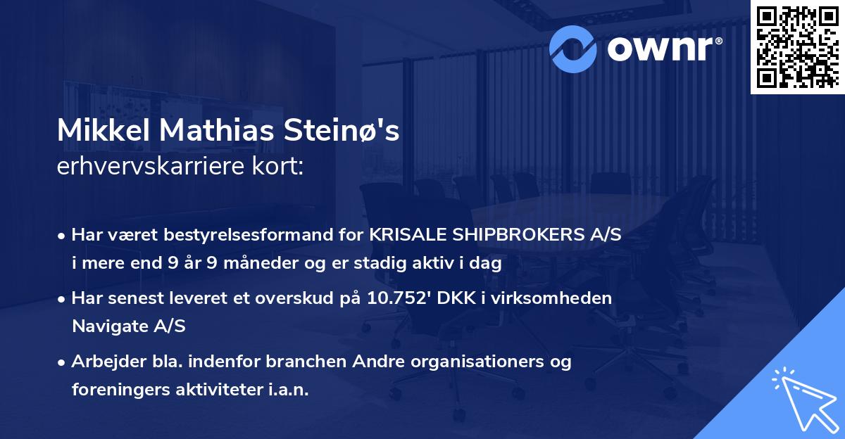 Mikkel Mathias Steinø's erhvervskarriere kort