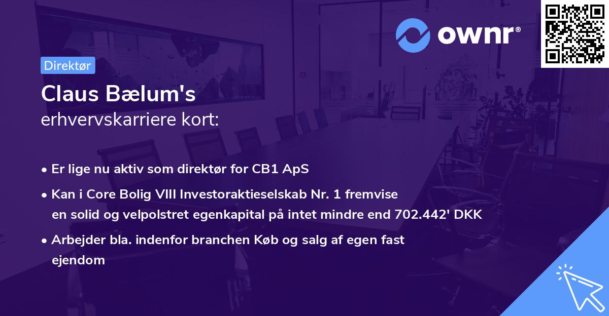 Claus Bælum's erhvervskarriere kort