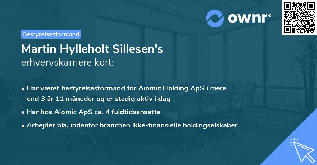 Martin Hylleholt Sillesen's erhvervskarriere kort