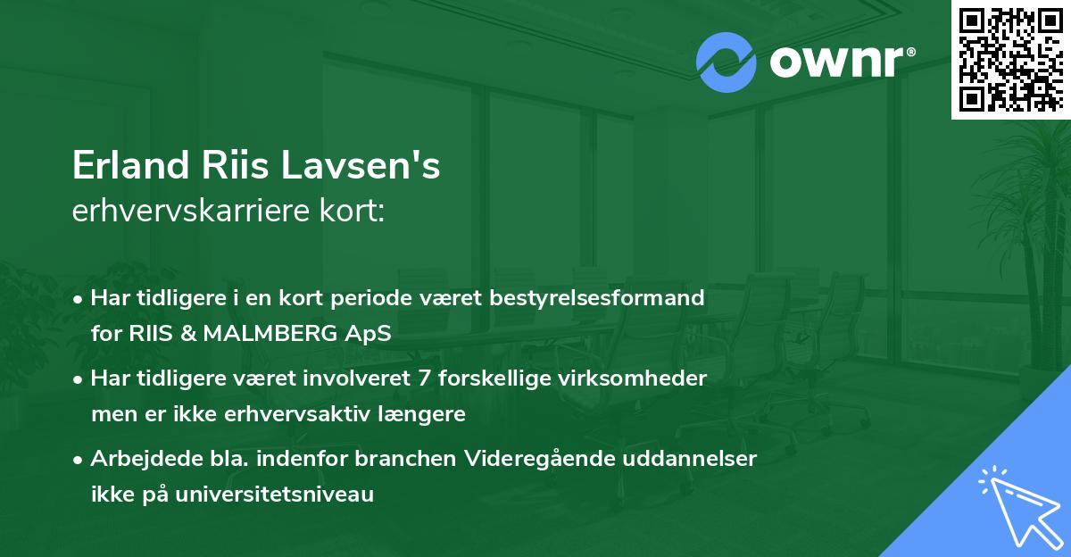 Erland Riis Lavsen's erhvervskarriere kort