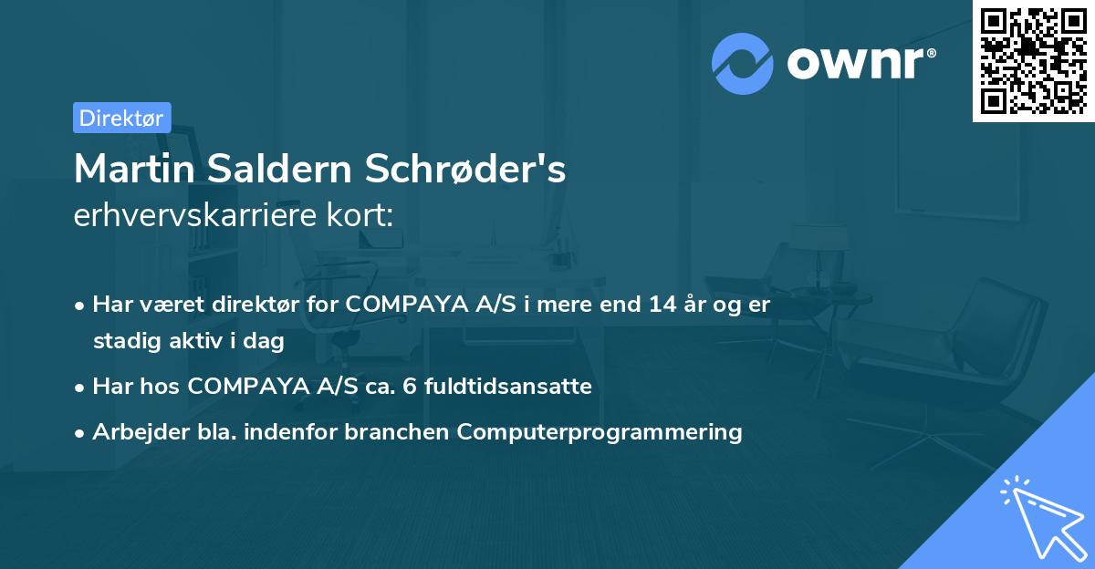 Martin Saldern Schrøder's erhvervskarriere kort