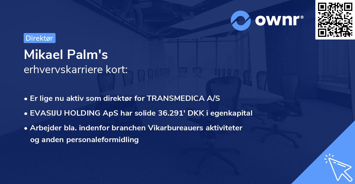 Mikael Palm's erhvervskarriere kort