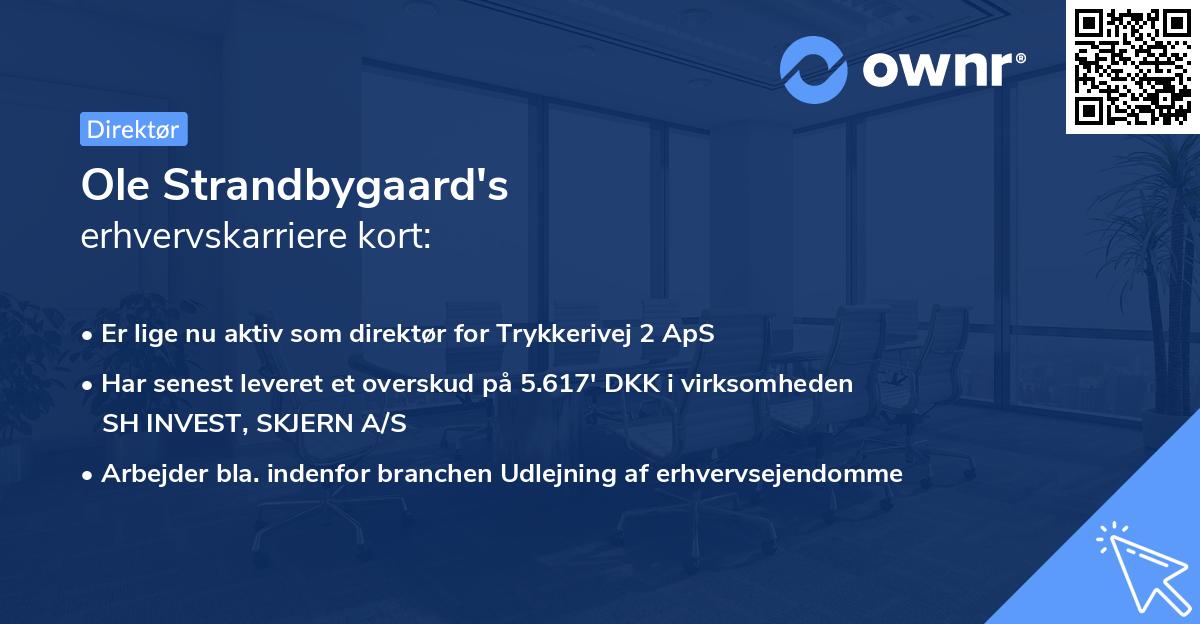 Ole Strandbygaard's erhvervskarriere kort