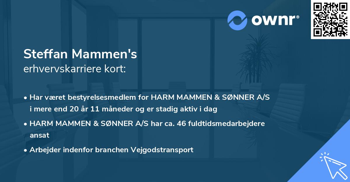 Steffan Mammen's erhvervskarriere kort