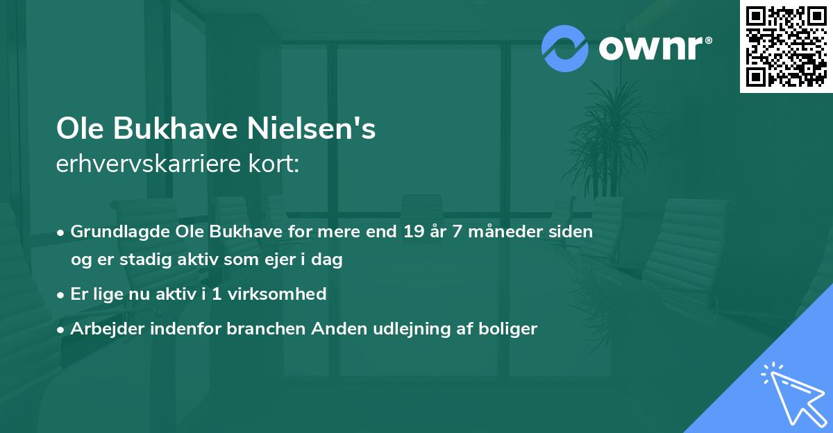Ole Bukhave Nielsen's erhvervskarriere kort