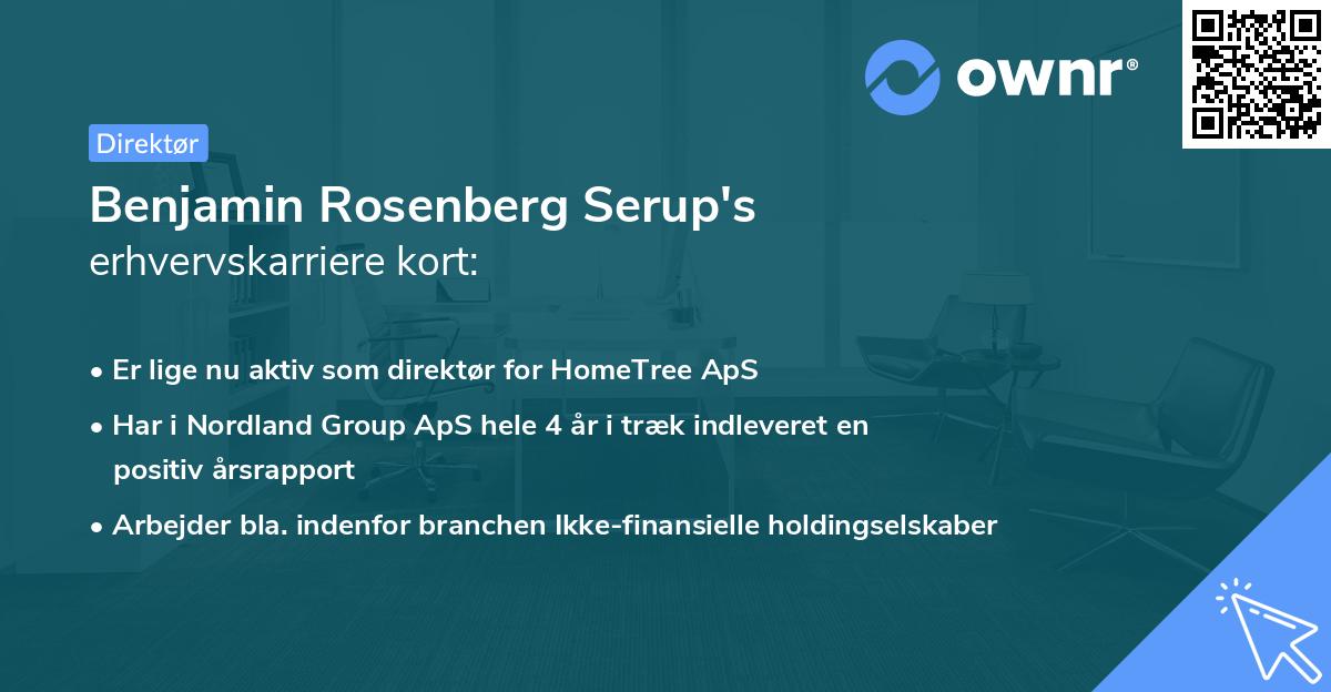 Benjamin Rosenberg Serup's erhvervskarriere kort
