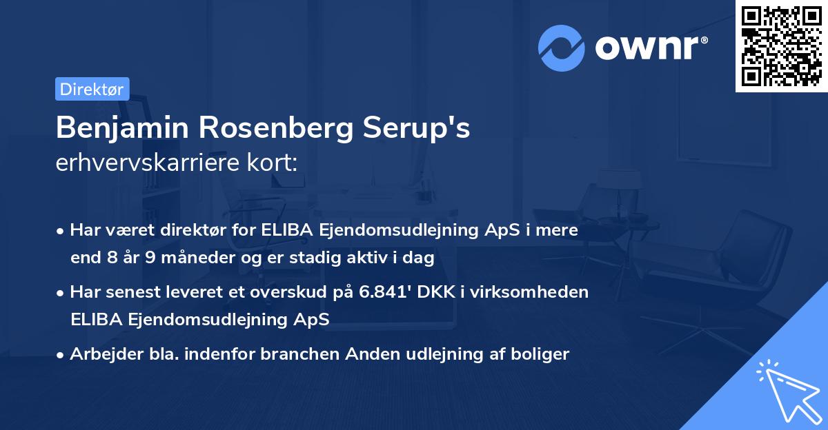 Benjamin Rosenberg Serup's erhvervskarriere kort