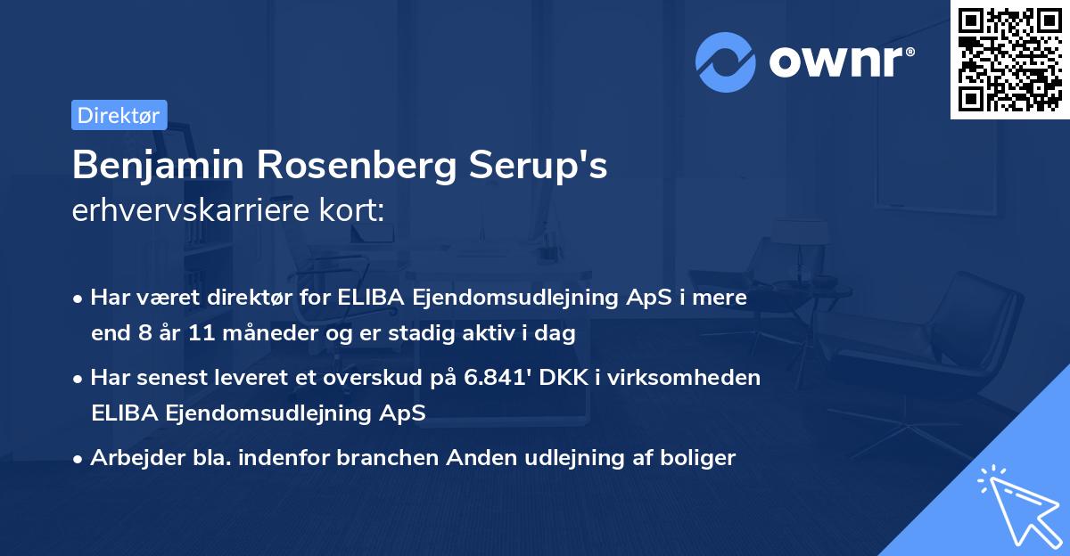 Benjamin Rosenberg Serup's erhvervskarriere kort