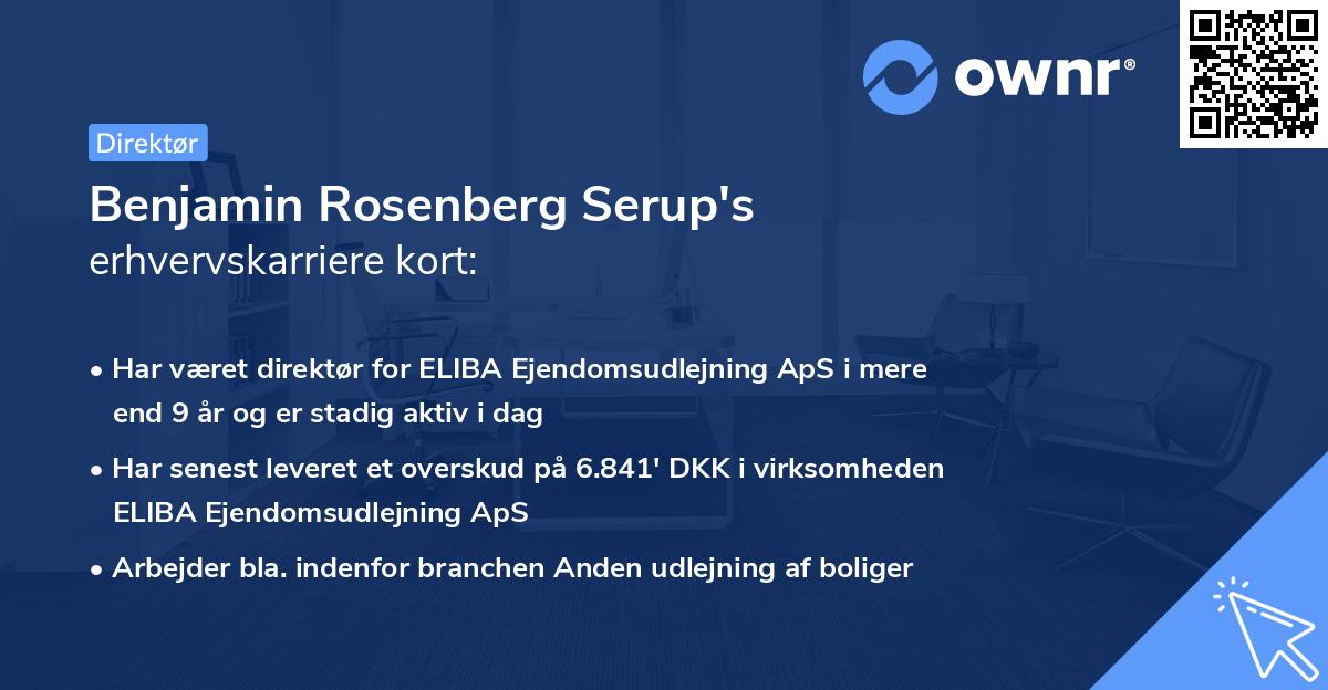 Benjamin Rosenberg Serup's erhvervskarriere kort