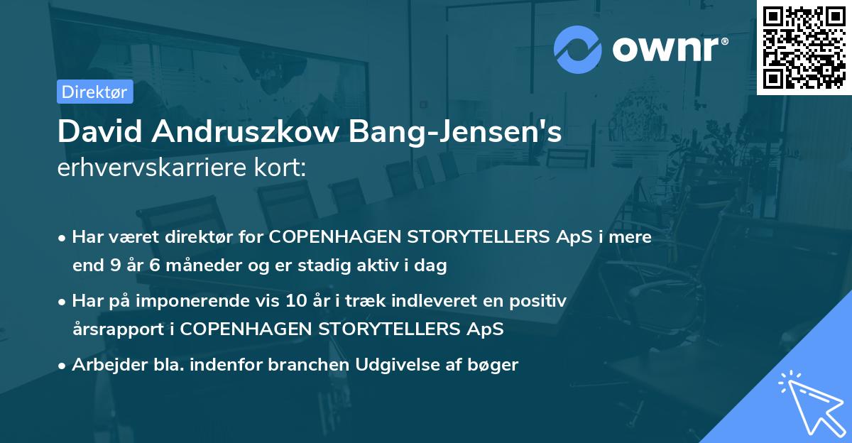 David Andruszkow Bang-Jensen's erhvervskarriere kort