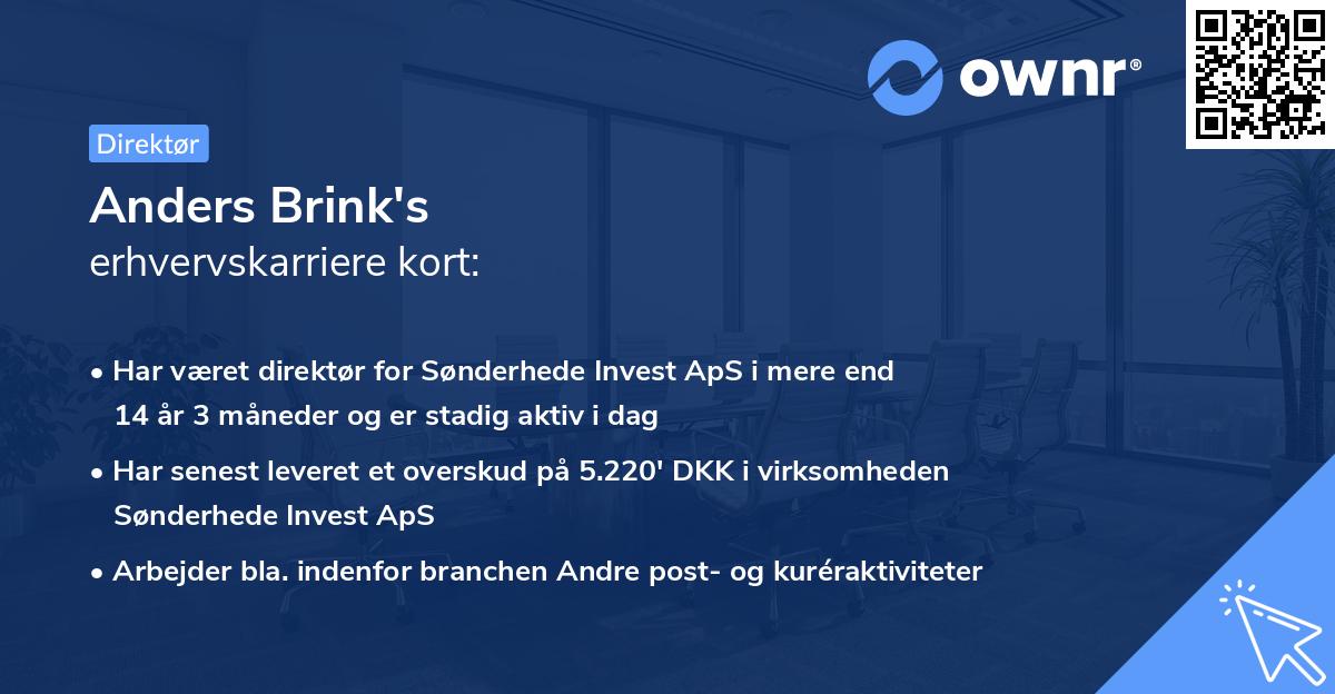 Anders Brink's erhvervskarriere kort
