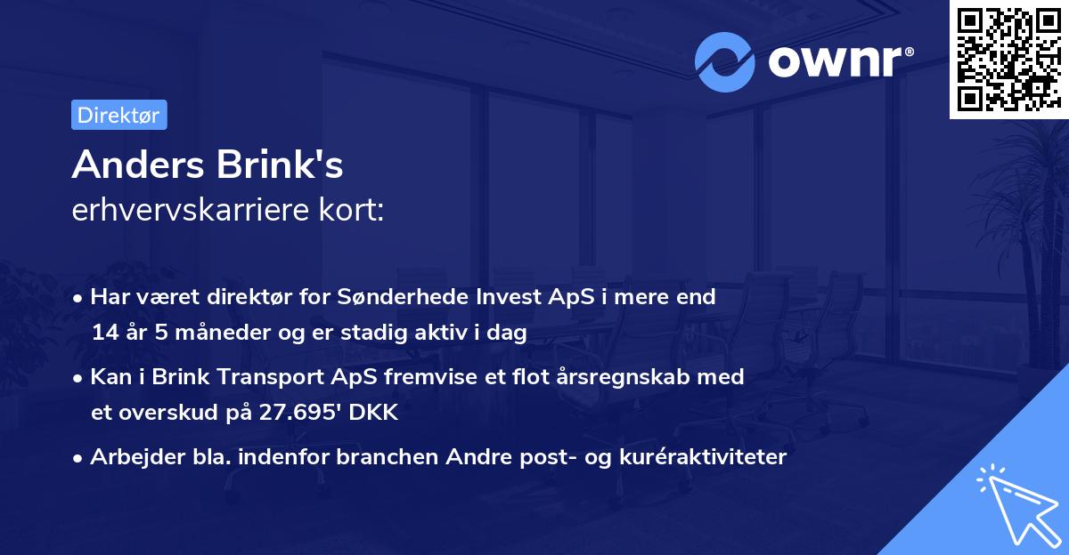 Anders Brink's erhvervskarriere kort