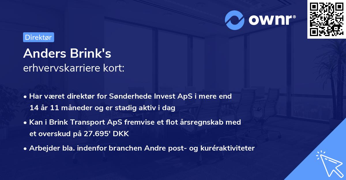Anders Brink's erhvervskarriere kort