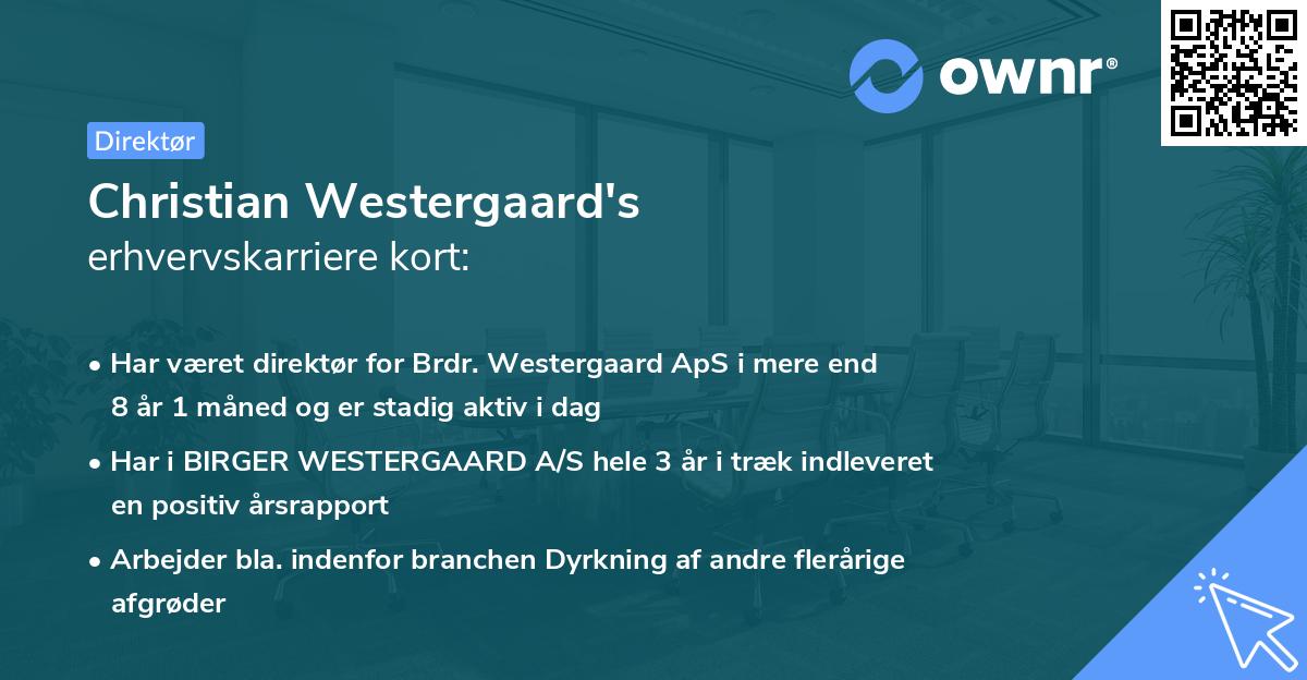 Christian Westergaard's erhvervskarriere kort