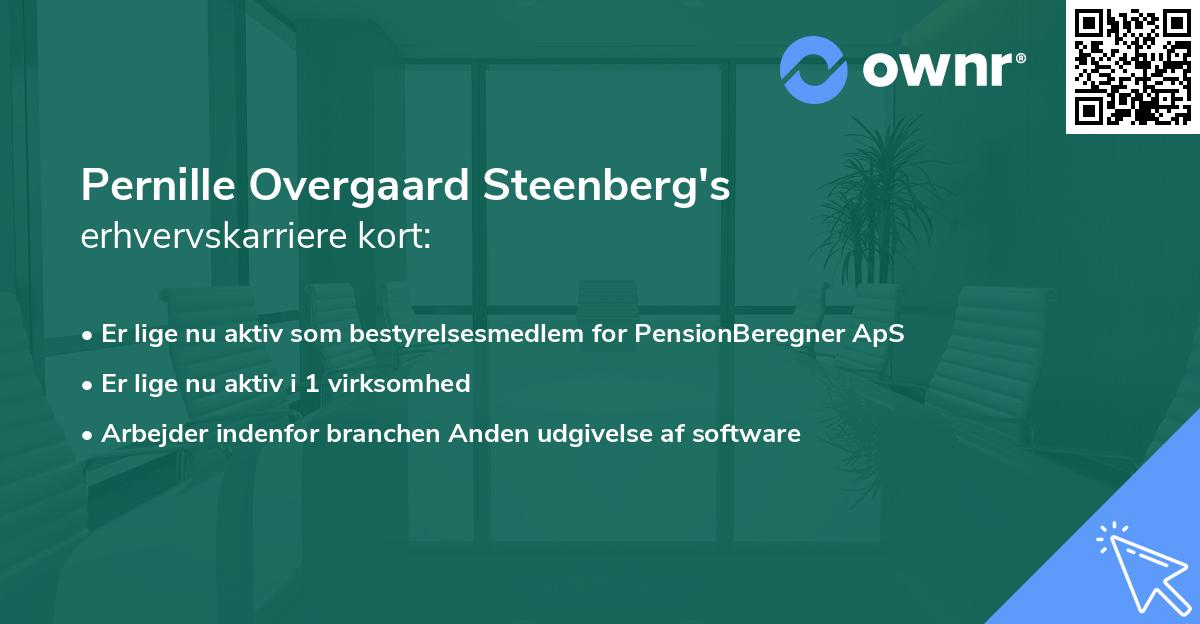 Pernille Overgaard Steenberg's erhvervskarriere kort