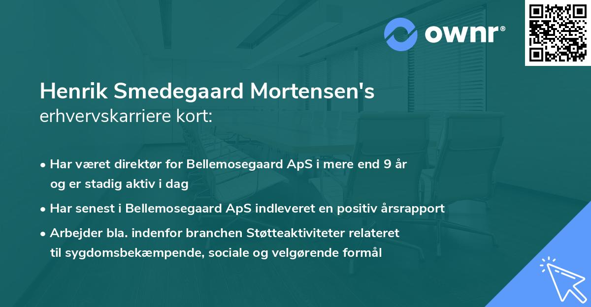 Henrik Smedegaard Mortensen's erhvervskarriere kort