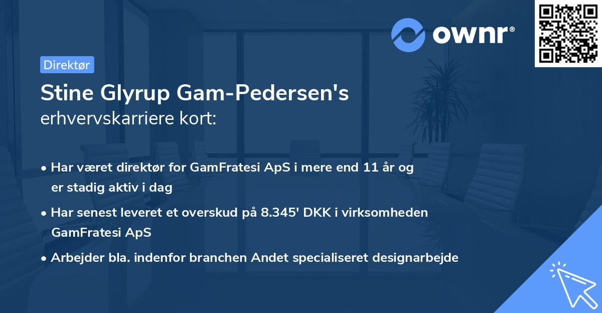 Stine Glyrup Gam-Pedersen's erhvervskarriere kort