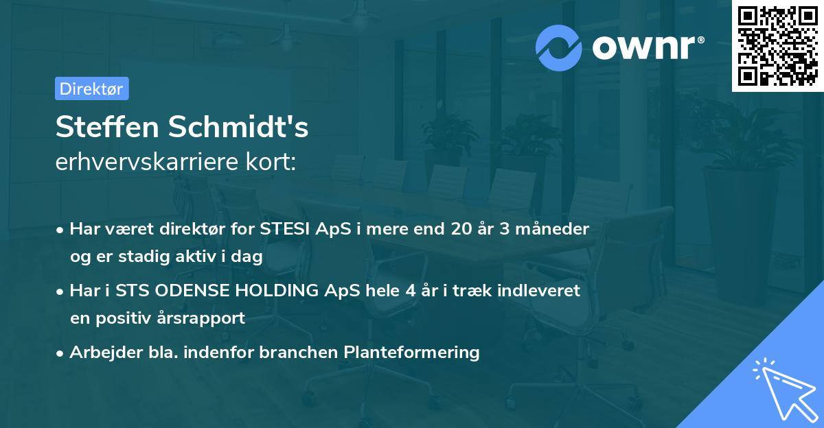 Steffen Schmidt's erhvervskarriere kort