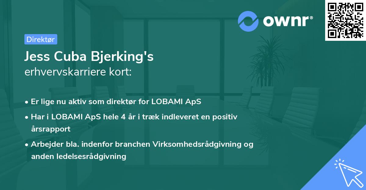 Jess Cuba Bjerking's erhvervskarriere kort