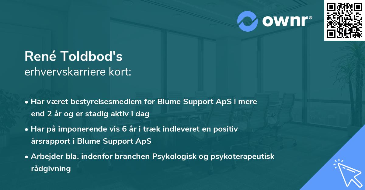 René Toldbod's erhvervskarriere kort
