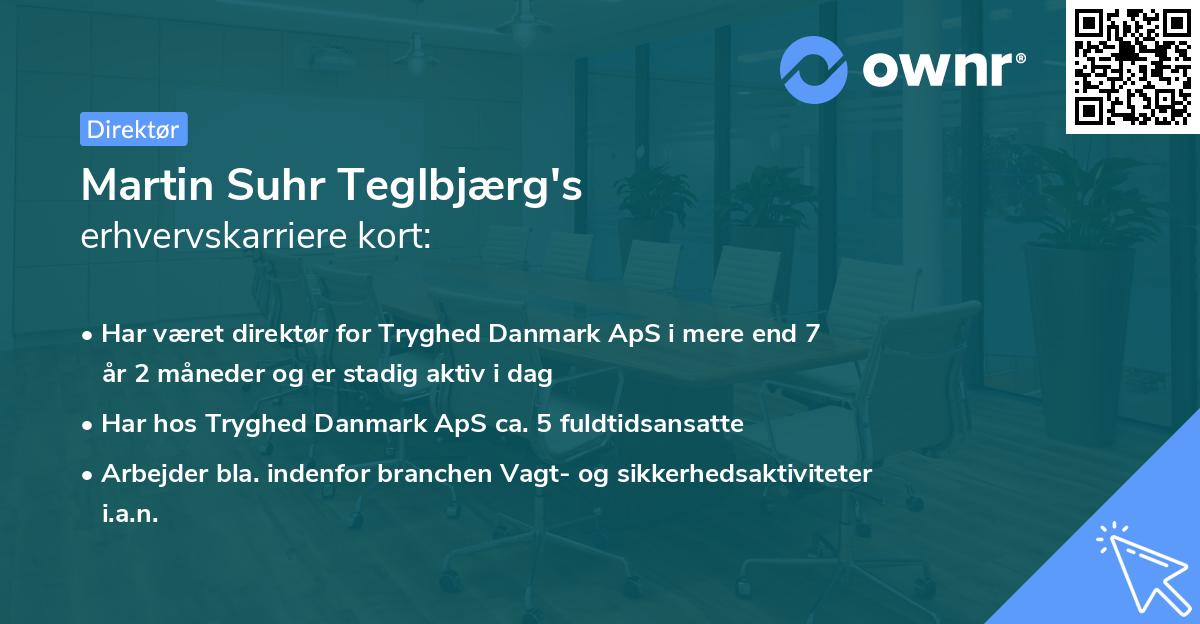 Martin Suhr Teglbjærg's erhvervskarriere kort