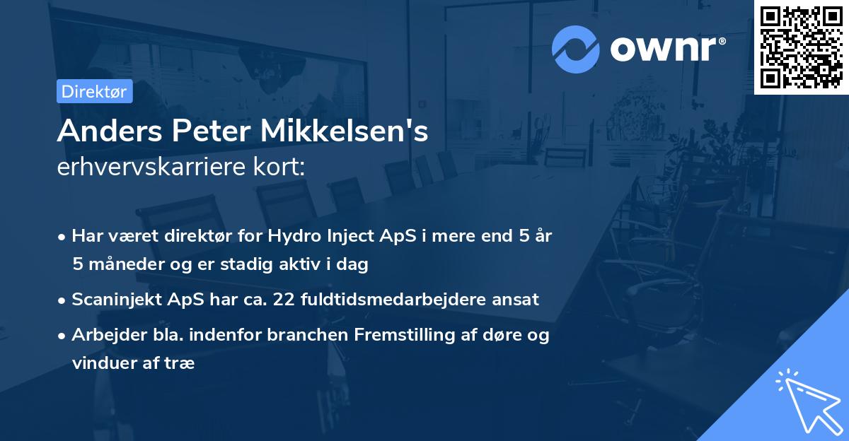 Anders Peter Mikkelsen's erhvervskarriere kort