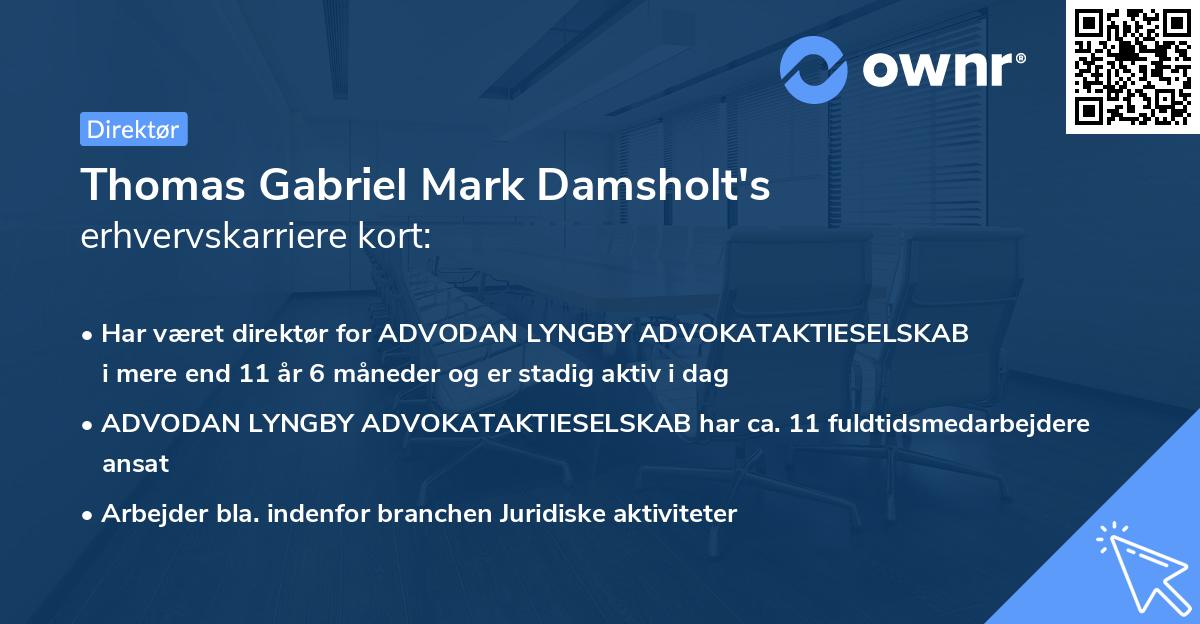 Thomas Gabriel Mark Damsholt's erhvervskarriere kort