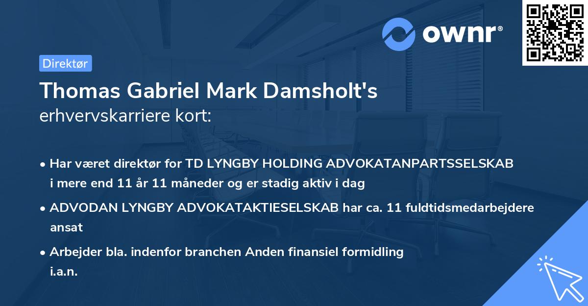 Thomas Gabriel Mark Damsholt's erhvervskarriere kort
