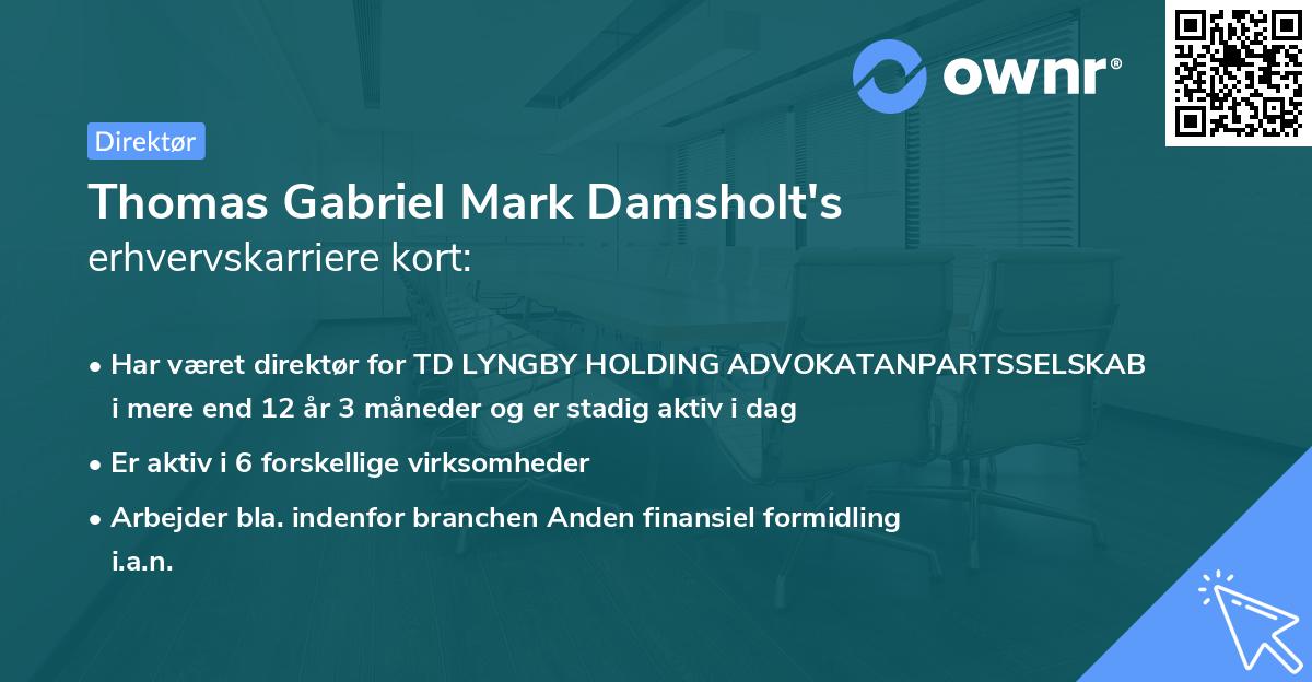 Thomas Gabriel Mark Damsholt's erhvervskarriere kort
