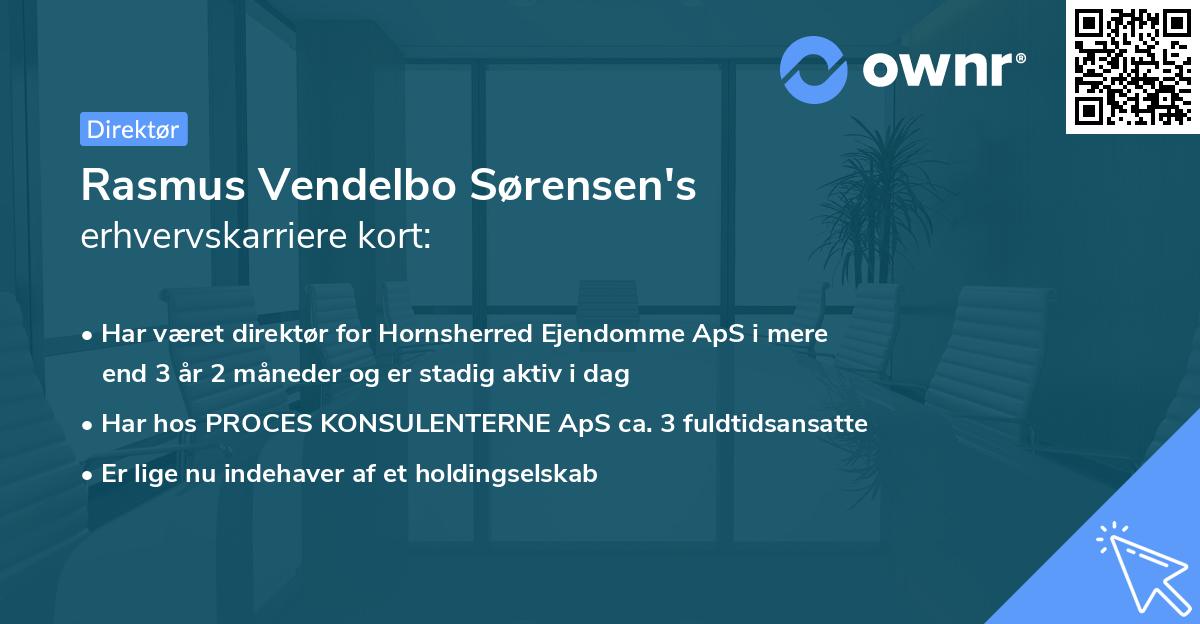 Rasmus Vendelbo Sørensen's erhvervskarriere kort