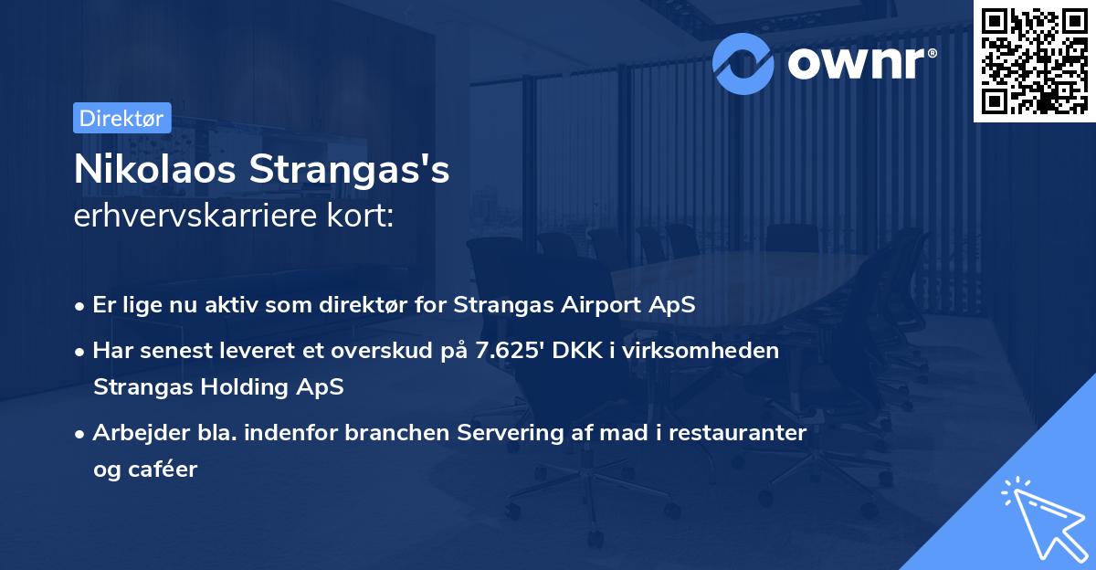 Nikolaos Strangas's erhvervskarriere kort