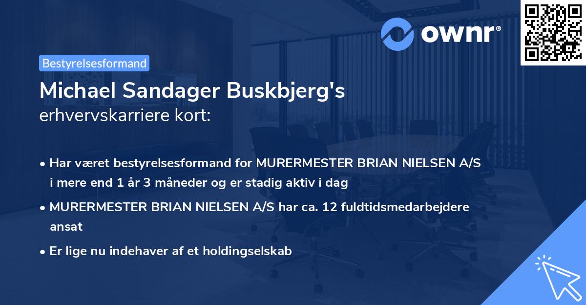 Michael Sandager Buskbjerg's erhvervskarriere kort