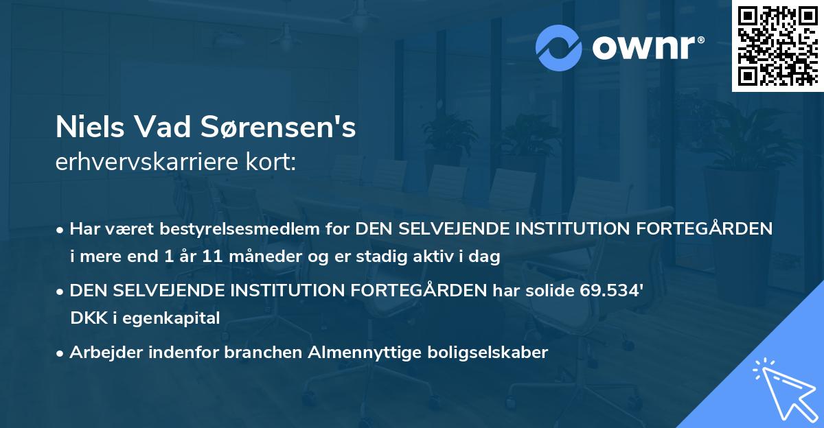 Niels Vad Sørensen's erhvervskarriere kort