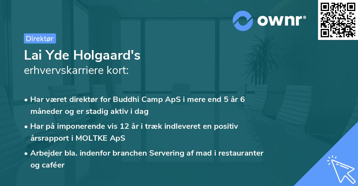Lai Yde Holgaard's erhvervskarriere kort